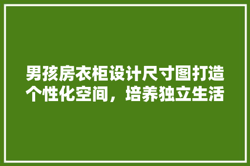 男孩房衣柜设计尺寸图打造个性化空间，培养独立生活能力