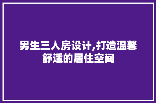 男生三人房设计,打造温馨舒适的居住空间