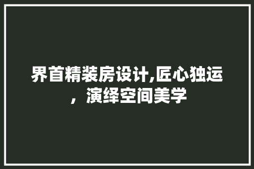界首精装房设计,匠心独运，演绎空间美学