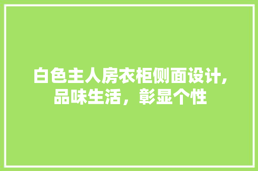 白色主人房衣柜侧面设计,品味生活，彰显个性