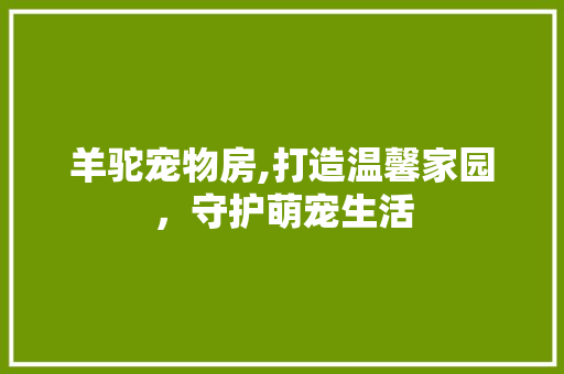 羊驼宠物房,打造温馨家园，守护萌宠生活
