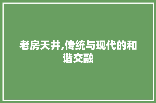 老房天井,传统与现代的和谐交融