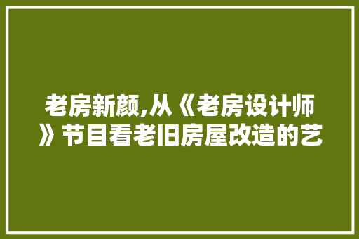 老房新颜,从《老房设计师》节目看老旧房屋改造的艺术与智慧
