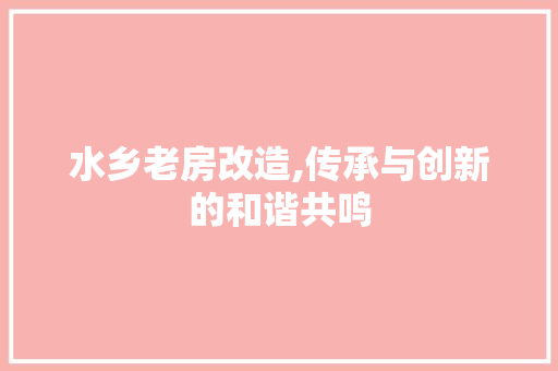 水乡老房改造,传承与创新的和谐共鸣