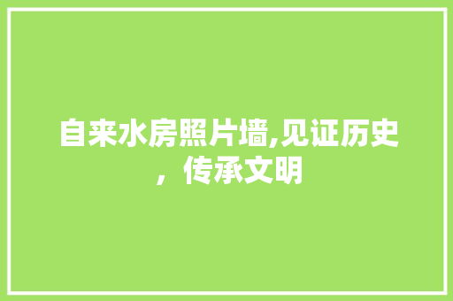 自来水房照片墙,见证历史，传承文明