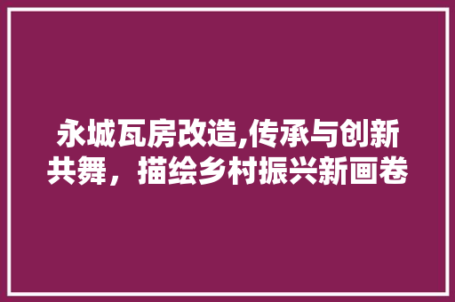 永城瓦房改造,传承与创新共舞，描绘乡村振兴新画卷