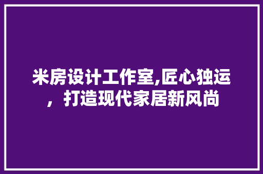 米房设计工作室,匠心独运，打造现代家居新风尚