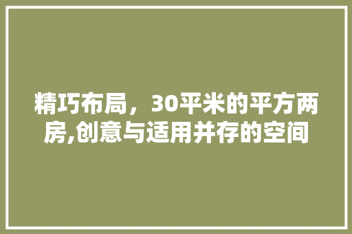 精巧布局，30平米的平方两房,创意与适用并存的空间魔法