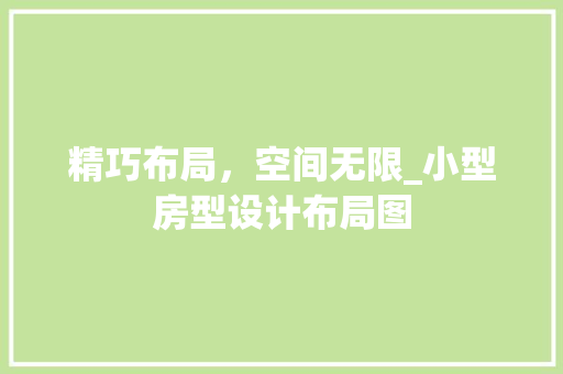 精巧布局，空间无限_小型房型设计布局图