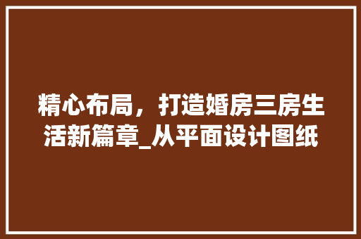 精心布局，打造婚房三房生活新篇章_从平面设计图纸婚房三房布局之路