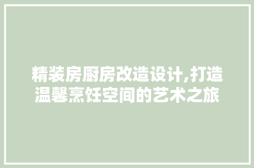 精装房厨房改造设计,打造温馨烹饪空间的艺术之旅