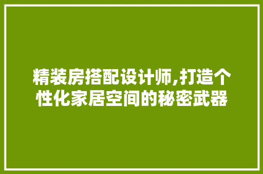 精装房搭配设计师,打造个性化家居空间的秘密武器