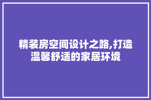 精装房空间设计之路,打造温馨舒适的家居环境