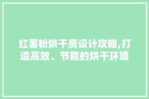 红薯粉烘干房设计攻略,打造高效、节能的烘干环境