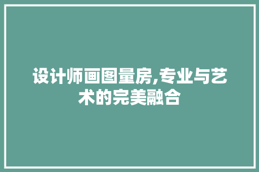 设计师画图量房,专业与艺术的完美融合