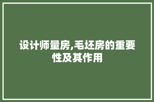 设计师量房,毛坯房的重要性及其作用