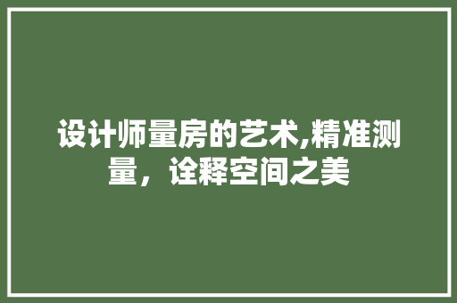 设计师量房的艺术,精准测量，诠释空间之美