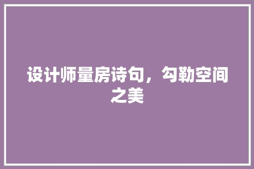 设计师量房诗句，勾勒空间之美
