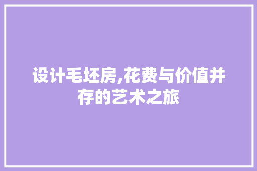设计毛坯房,花费与价值并存的艺术之旅