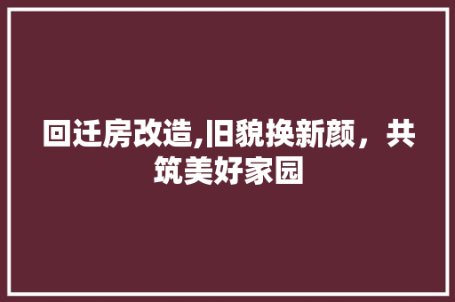回迁房改造,旧貌换新颜，共筑美好家园