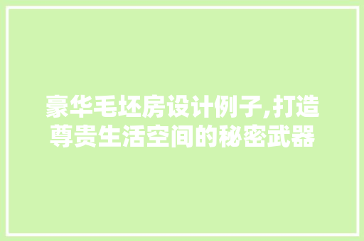豪华毛坯房设计例子,打造尊贵生活空间的秘密武器