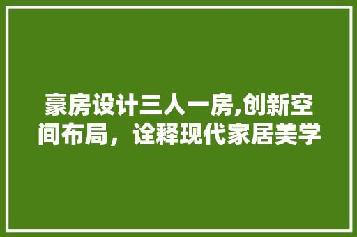 豪房设计三人一房,创新空间布局，诠释现代家居美学