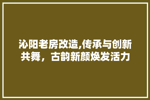沁阳老房改造,传承与创新共舞，古韵新颜焕发活力