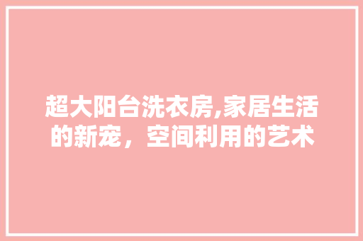 超大阳台洗衣房,家居生活的新宠，空间利用的艺术