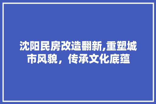 沈阳民房改造翻新,重塑城市风貌，传承文化底蕴