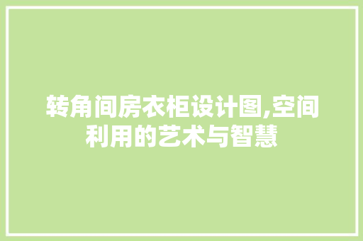 转角间房衣柜设计图,空间利用的艺术与智慧