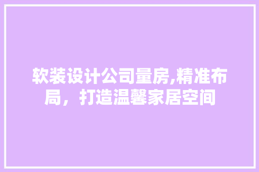 软装设计公司量房,精准布局，打造温馨家居空间