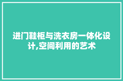 进门鞋柜与洗衣房一体化设计,空间利用的艺术