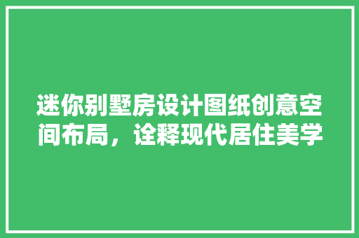 迷你别墅房设计图纸创意空间布局，诠释现代居住美学