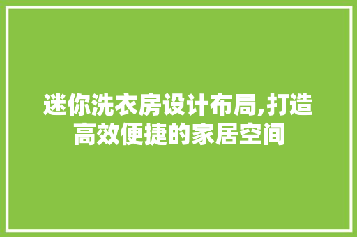 迷你洗衣房设计布局,打造高效便捷的家居空间