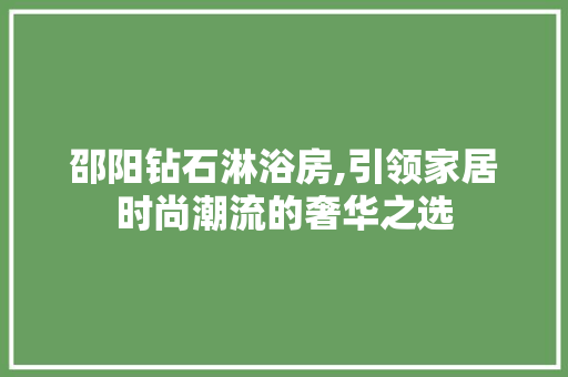 邵阳钻石淋浴房,引领家居时尚潮流的奢华之选