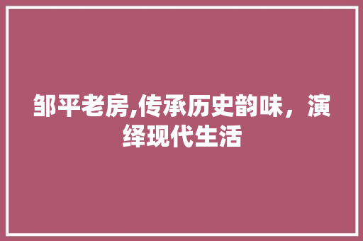 邹平老房,传承历史韵味，演绎现代生活