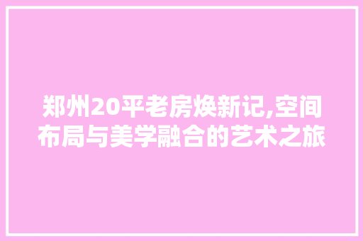 郑州20平老房焕新记,空间布局与美学融合的艺术之旅