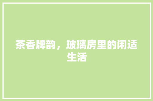 茶香牌韵，玻璃房里的闲适生活