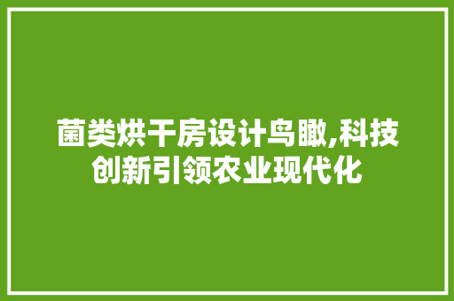 菌类烘干房设计鸟瞰,科技创新引领农业现代化