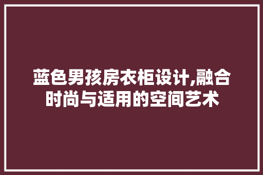 蓝色男孩房衣柜设计,融合时尚与适用的空间艺术