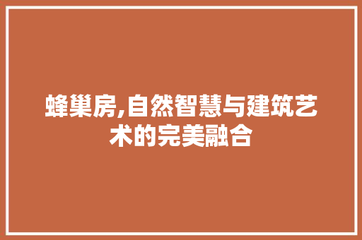 蜂巢房,自然智慧与建筑艺术的完美融合