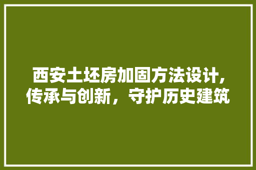西安土坯房加固方法设计,传承与创新，守护历史建筑