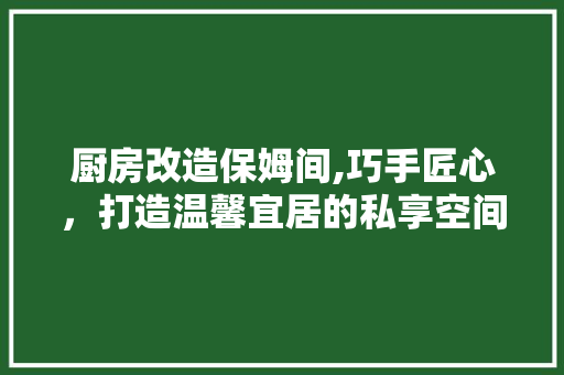 厨房改造保姆间,巧手匠心，打造温馨宜居的私享空间