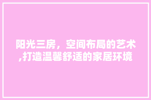 阳光三房，空间布局的艺术,打造温馨舒适的家居环境