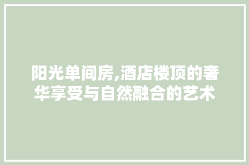 阳光单间房,酒店楼顶的奢华享受与自然融合的艺术