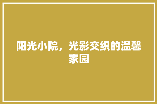 阳光小院，光影交织的温馨家园
