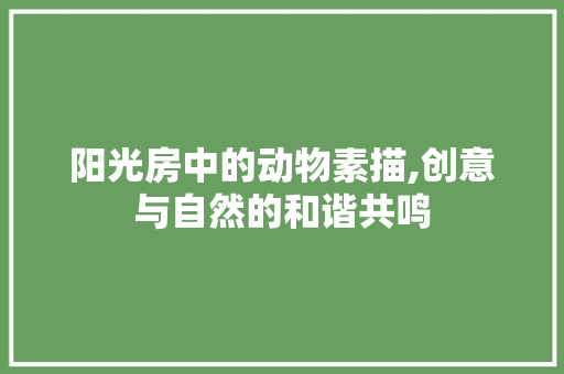 阳光房中的动物素描,创意与自然的和谐共鸣