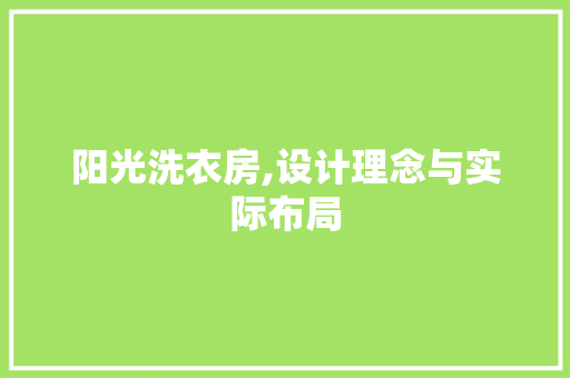 阳光洗衣房,设计理念与实际布局