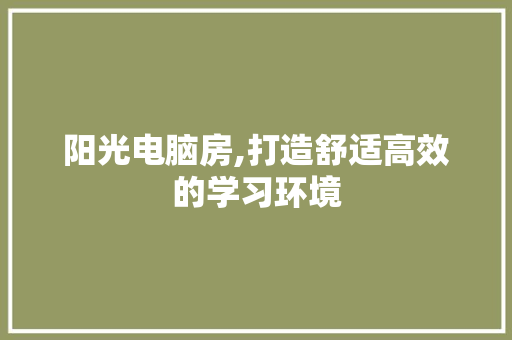 阳光电脑房,打造舒适高效的学习环境