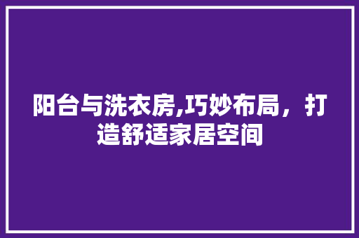 阳台与洗衣房,巧妙布局，打造舒适家居空间